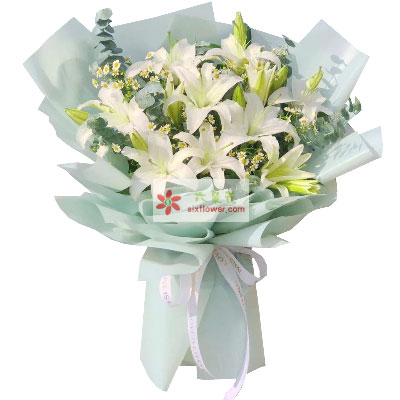 呼伦贝尔6支白色多头百合，温馨的祝福
