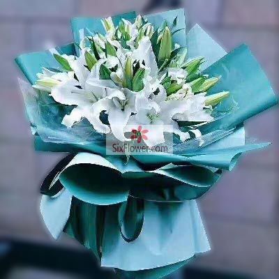 呼伦贝尔8支白色多头百合，情真意切